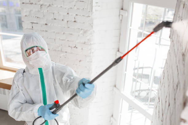 Best Forensic Mold Investigation  in Bing, OR