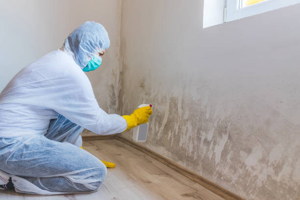 Asbestos and Lead Testing During Mold Inspection in Boring, OR