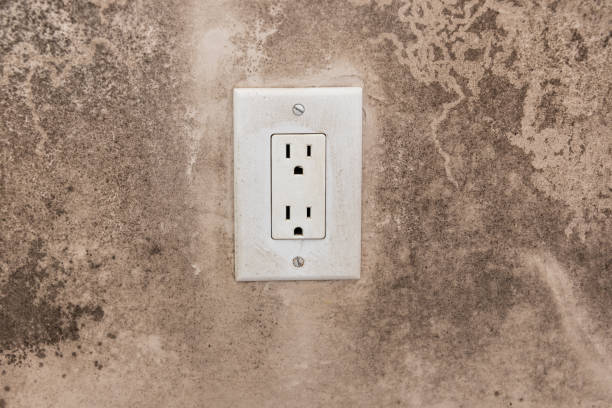Best Post-Construction Mold Inspection  in Bing, OR